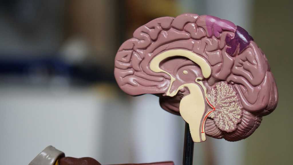 MinByFavrskov - Datter sikrer far adgang til nyt Alzheimer-lægemiddel i ...